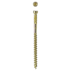 SPAX PowerTrim Double Reverse Thread Composite (PVC) Screws - Cylindric Trim Head, T-Star Plus, HCR