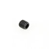 #option_67079 Allen Type Set Screw 6 x 1mm