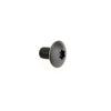 #option_67110 Torx Screw 4 x 6mm