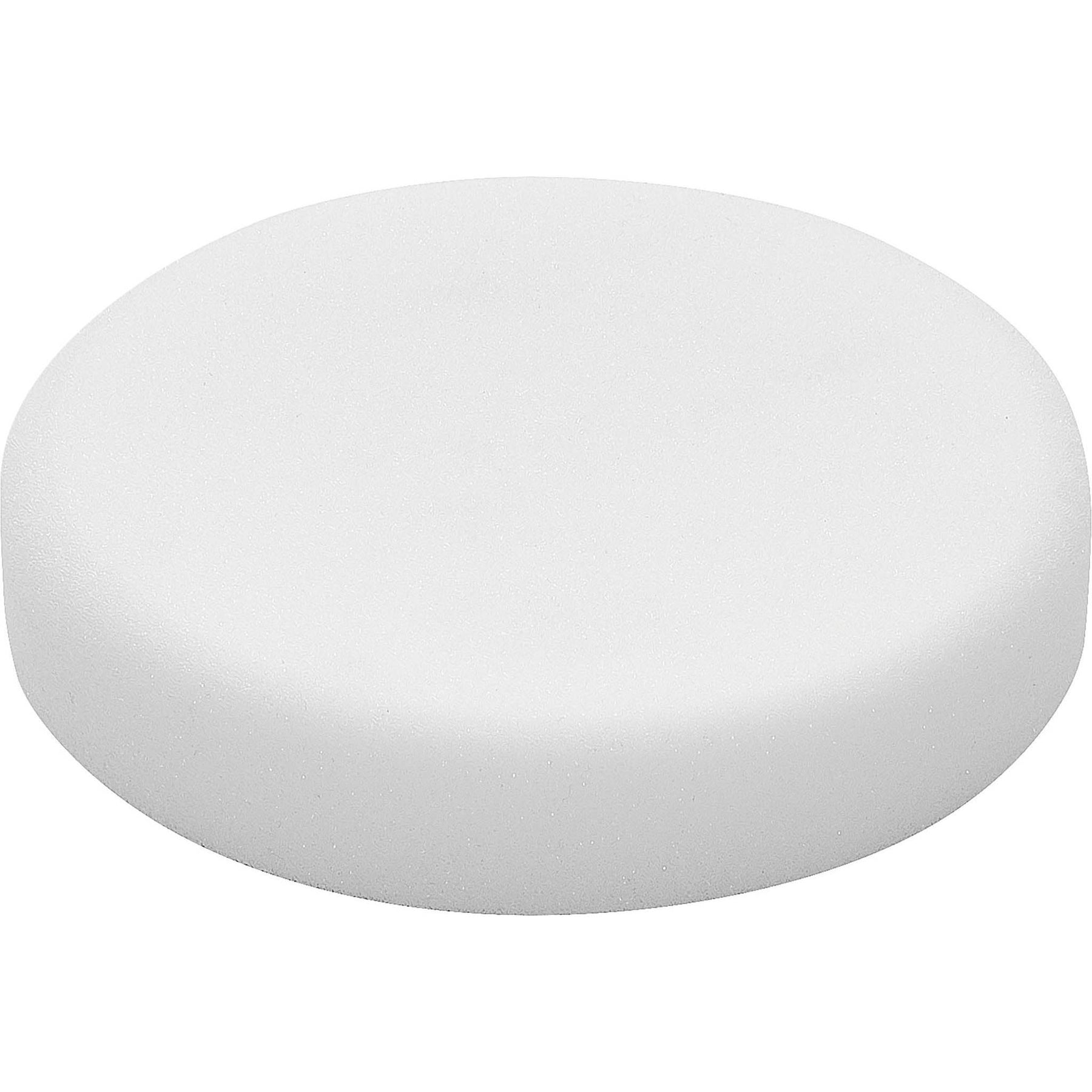Festool Polishing Sponge