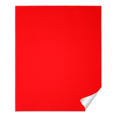 Diablo 9 in. x 11 in. Sanding Sheet