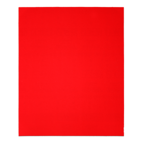 Diablo 9 in. x 11 in. Sanding Sheet