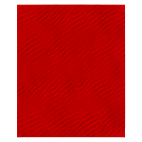 Diablo 9 in. x 11 in. SandNET™ Universal Reusable Sanding Sheet