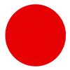 Diablo 6 in. ROS StickFast™ Discs