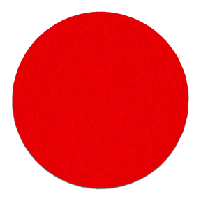 Diablo 5 in. ROS StickFast™ Discs
